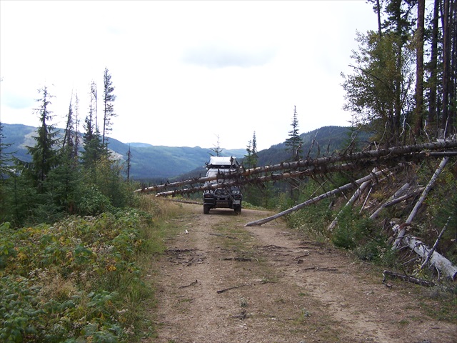 I intended visiting Bisson lake which is supposed to be good fishing and only accessible via 4x4 road. <br />My GPS showed one route in and another route out. Both were 'Resource roads' which are usually pretty good. <br />The road in had a few obstacles which I was able to remove but around the corner the road deteriorated and I decided to go back the the main road and try route #2.
