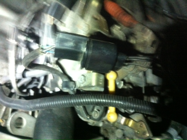 IP Plug