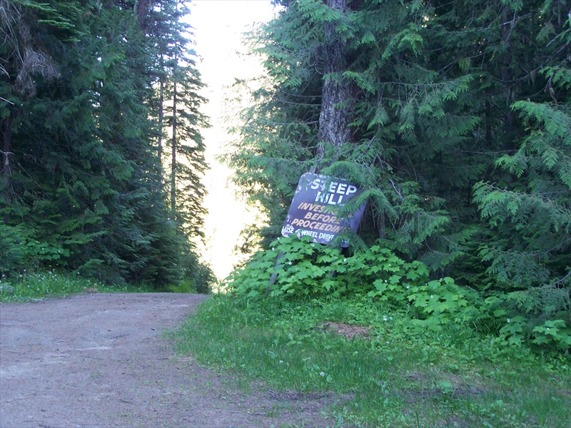 Road to Boat Launch