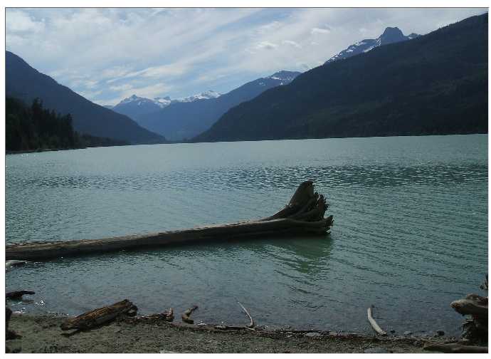 Driftwood Bay Site