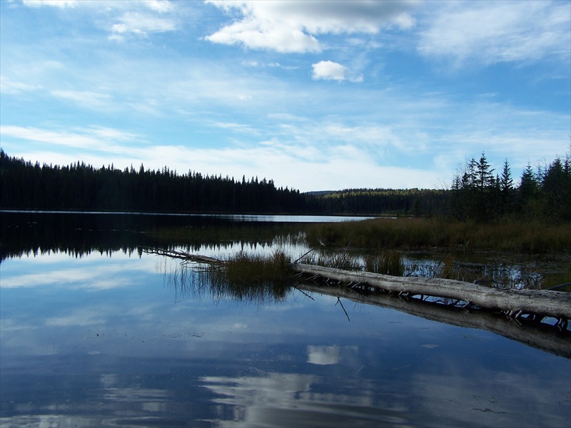 West end of the Lake