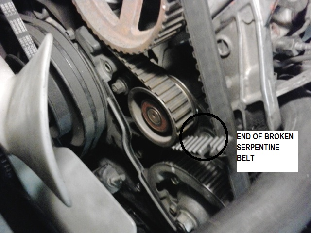 PULLY PICTURE 1 WITH TEXT.jpg