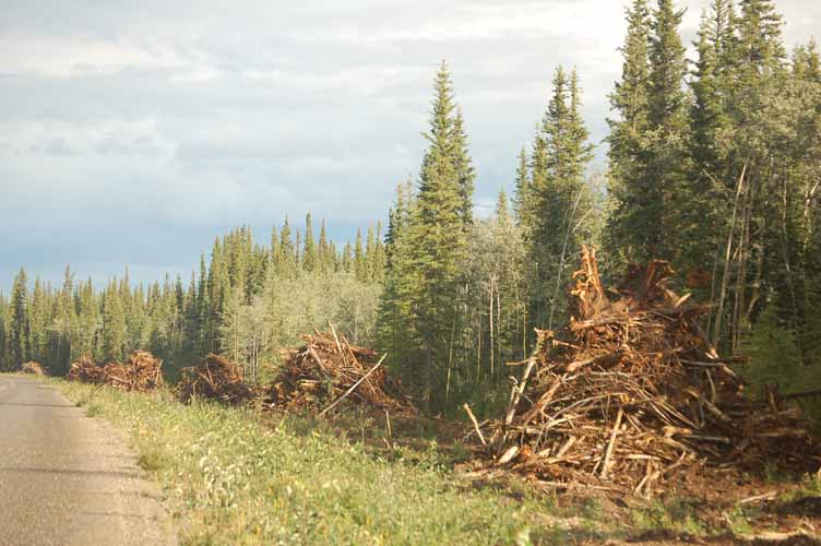 GiantBeaverCondos2782.jpg