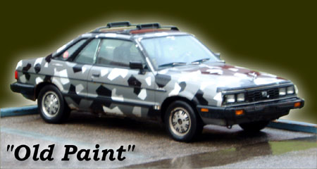 OldPaint.jpg