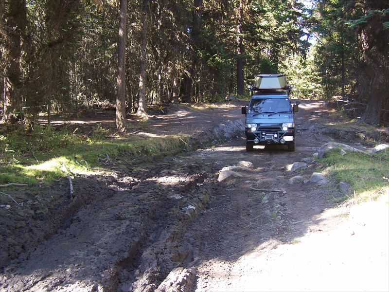 Dry Bog hole #2