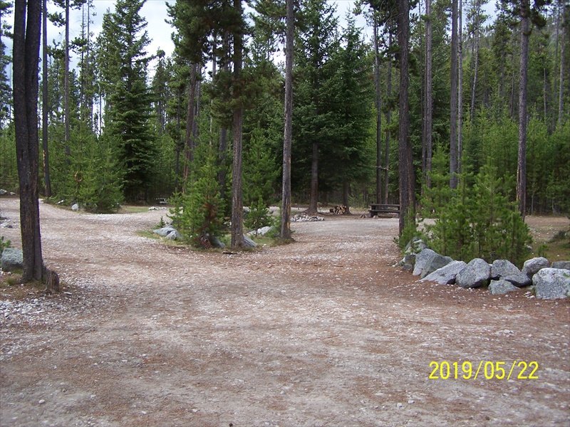 Allendale Wooded Site