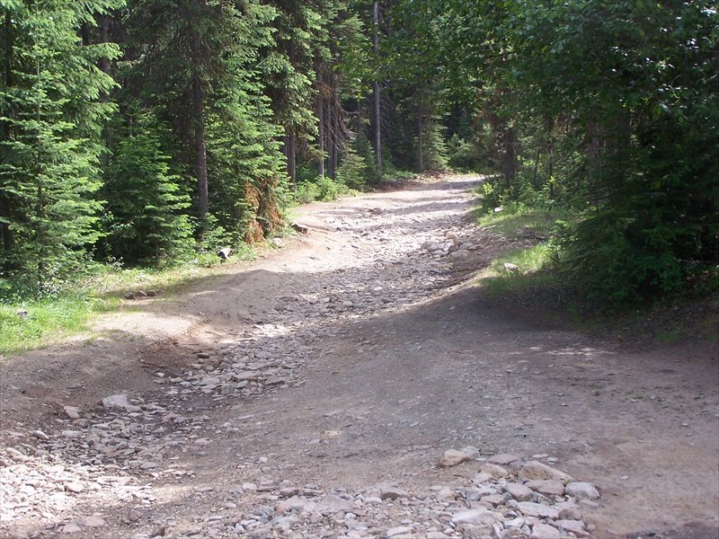 Dry Creek bed for Road