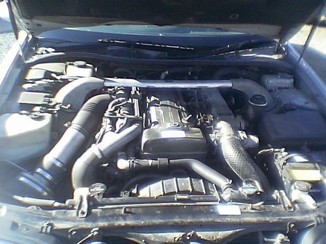 IMGA7796.JPG