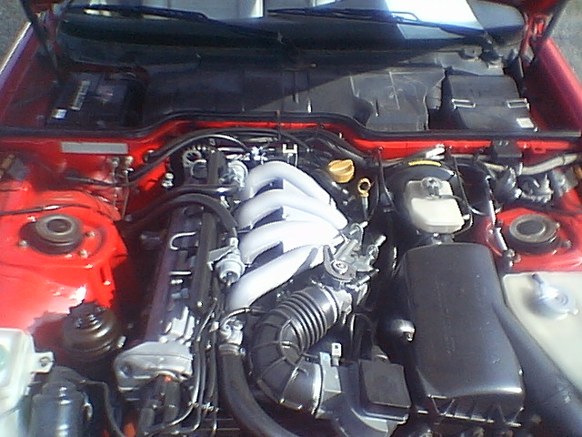 IMGA7808.JPG