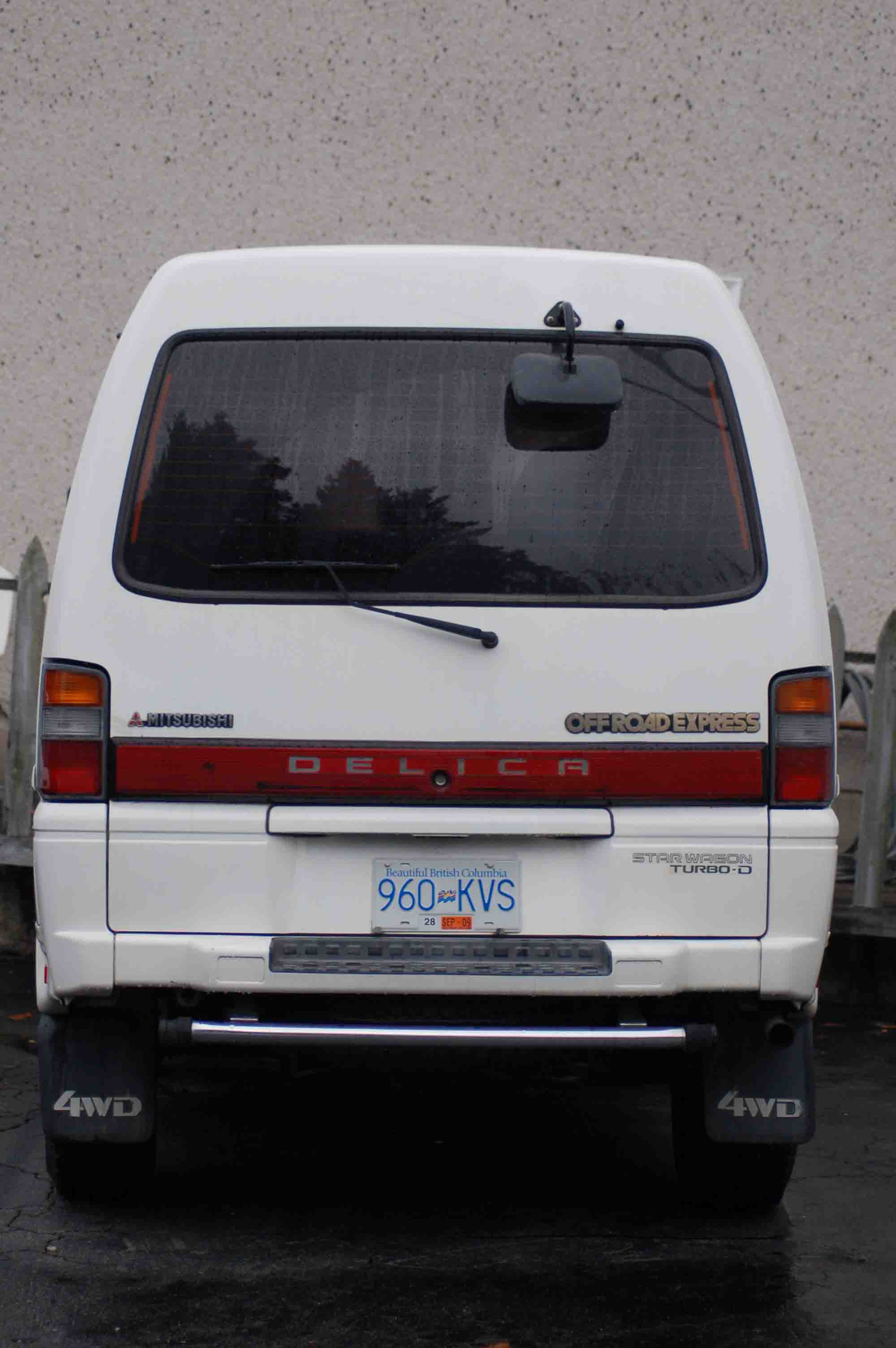 back.jpg