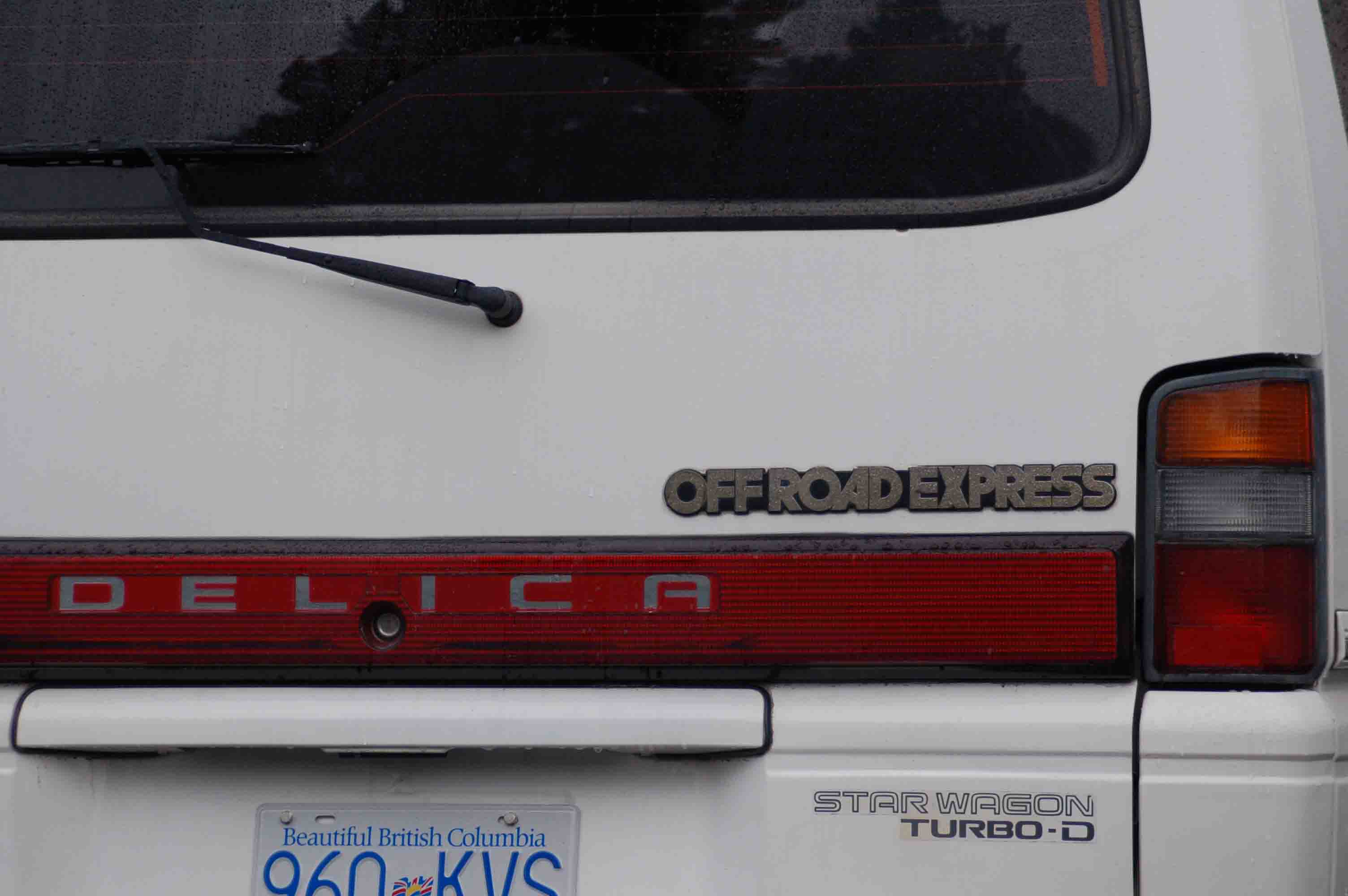 close back.jpg