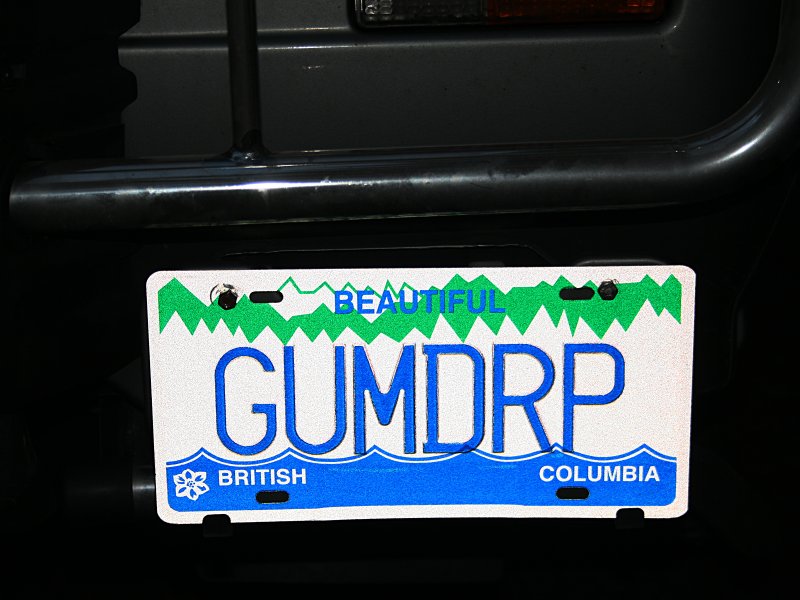 New license plate.