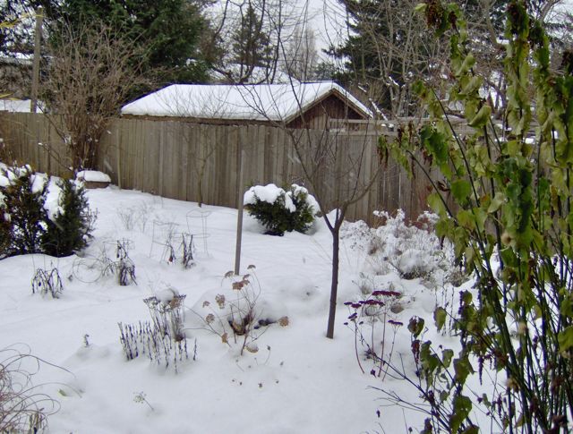 snow day 2.jpg