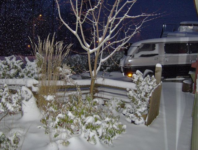 snow5.jpg