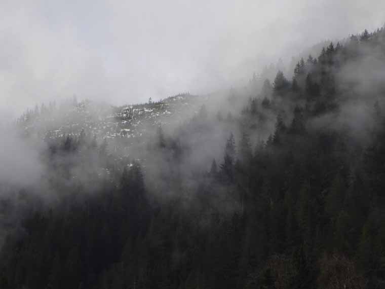 Mist3959.jpg