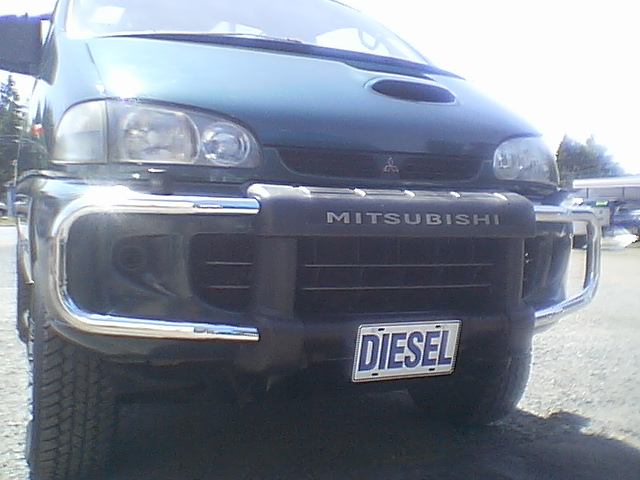 Front bush bars