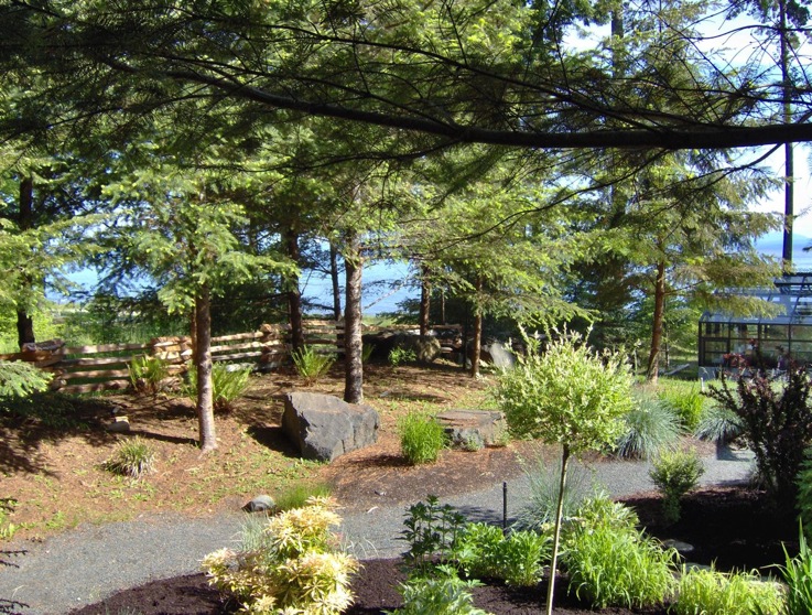 split rail2.jpg