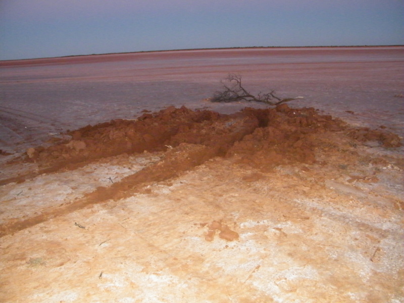 2009_10152009Aus0016.JPG