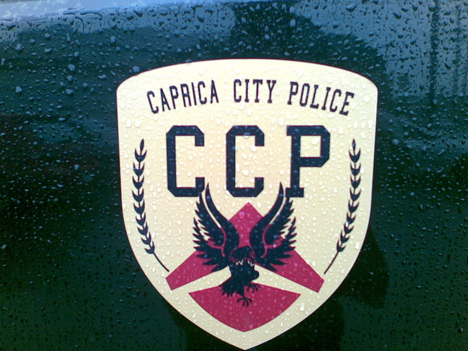 10082009(002).jpg