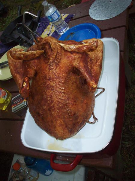 Ta-da! 17 pounds of suculent happy.