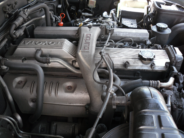 SDC10774.jpg