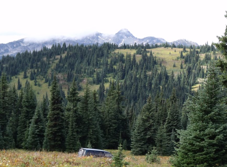 Alpine view.jpg