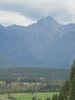 IMG_3243.jpg
