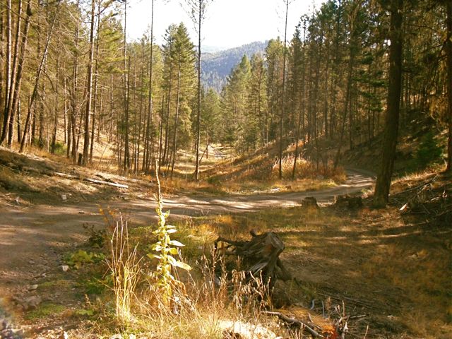 august lake.jpg