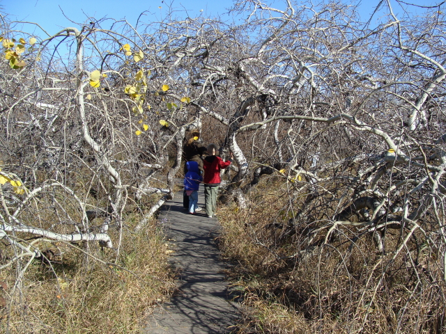 DSC03690.jpg