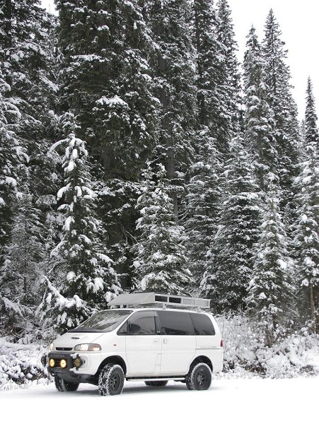 Chinook the snow-eater