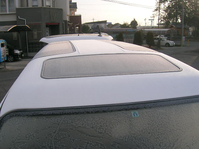 DSCN2809.JPG